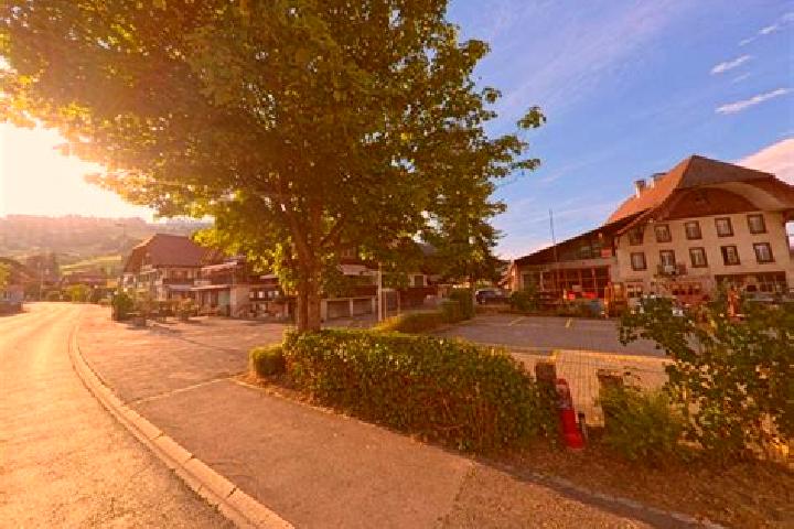 escort Wattenwil