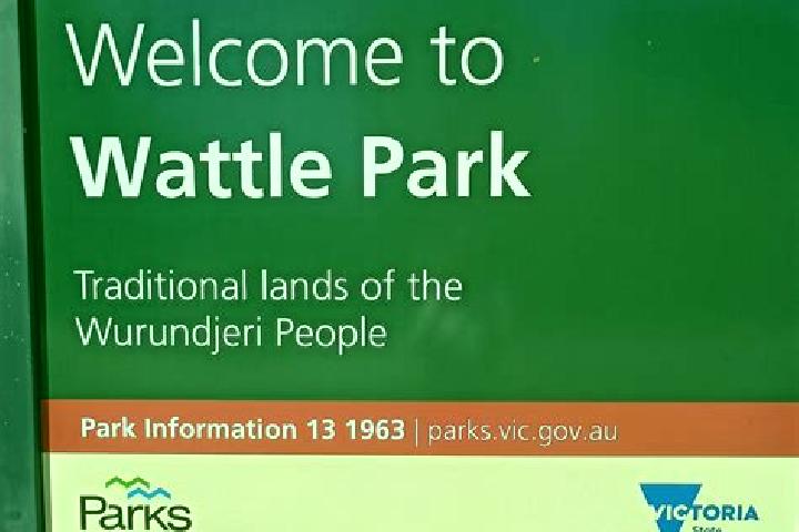 escort Wattle Park
