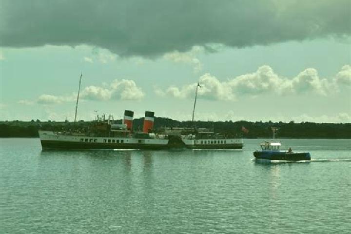 escort Waverley