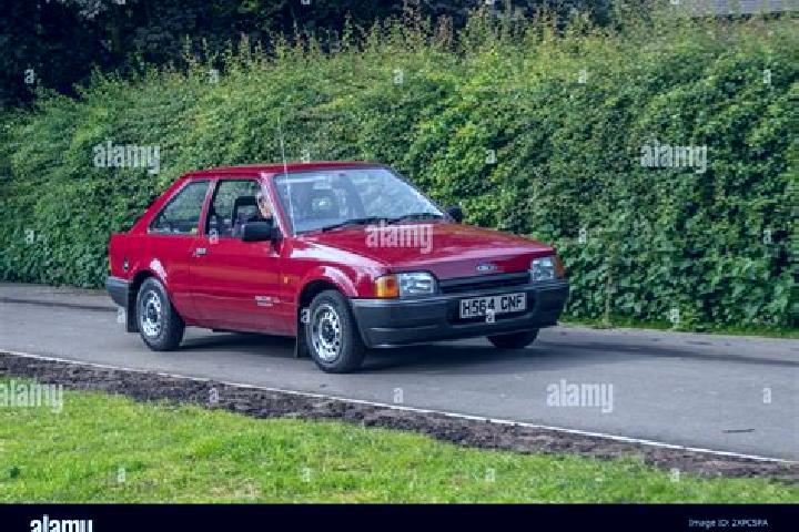 escort Wedderstedt