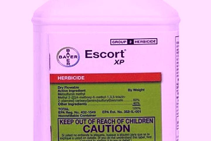 escort Weed