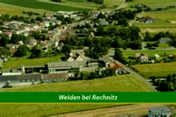 escort Weiden bei Rechnitz