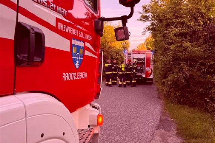 escort Weigelsdorf
