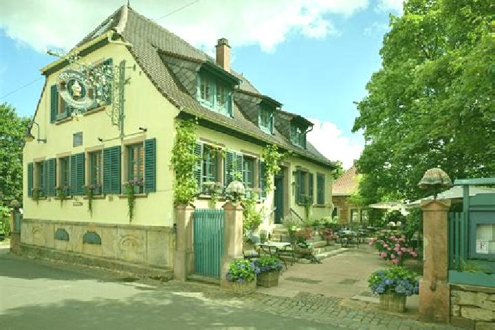 escort Weisenheim am Berg