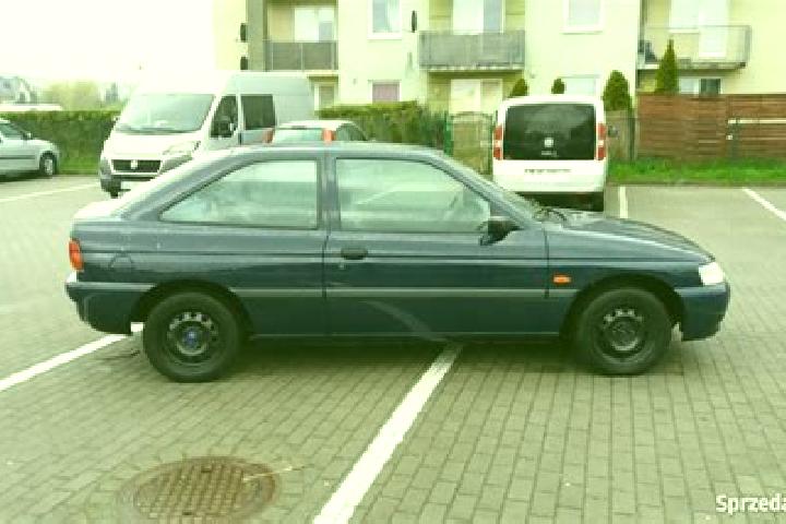 escort Wejherowo
