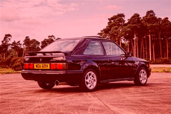 escort Wellard