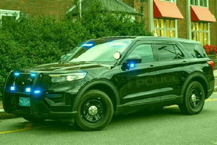 escort West Newbury