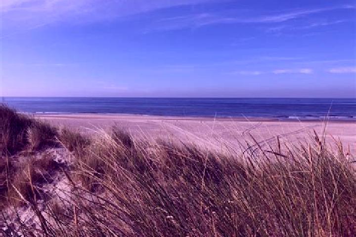 escort Westende