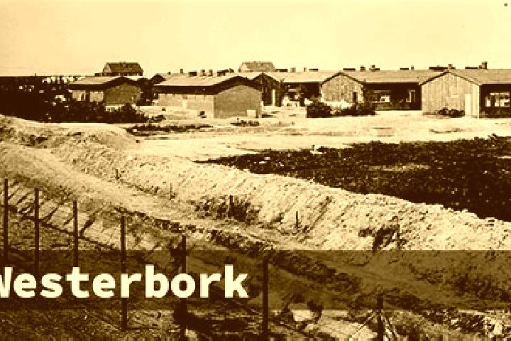 escort Westerbork