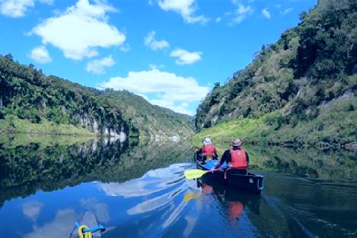 escort Whanganui