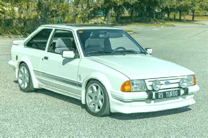 escort White Mills