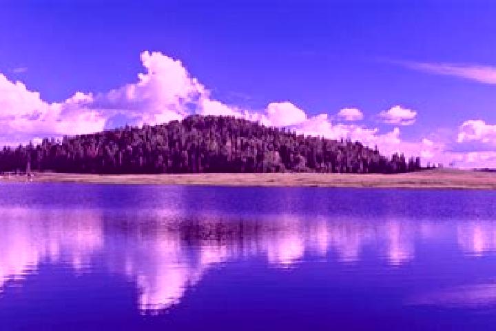 escort White Mountain Lake