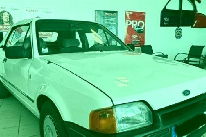 escort White Plains