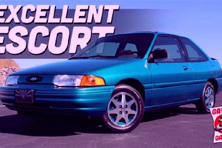 escort Wildenfels