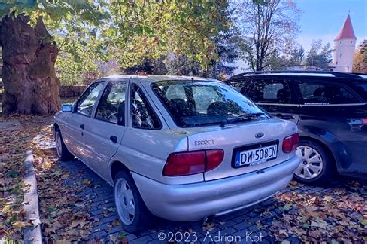 escort Wilmar