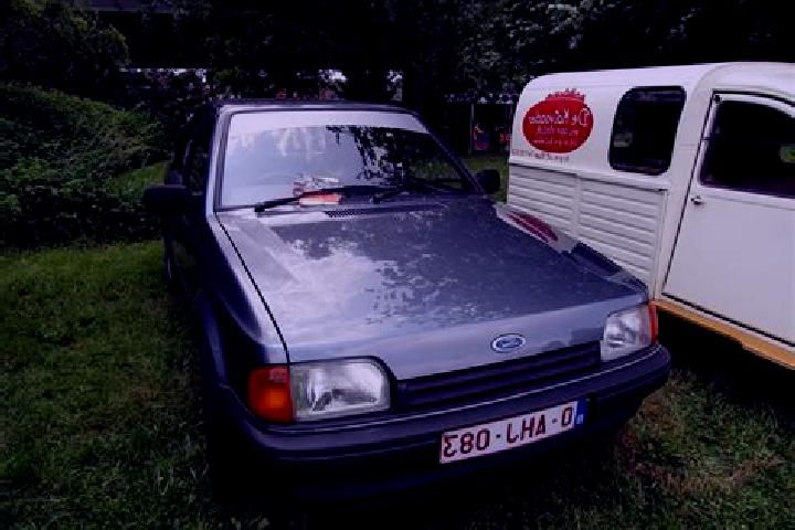 escort Wilsele