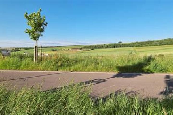 escort Wincheringen