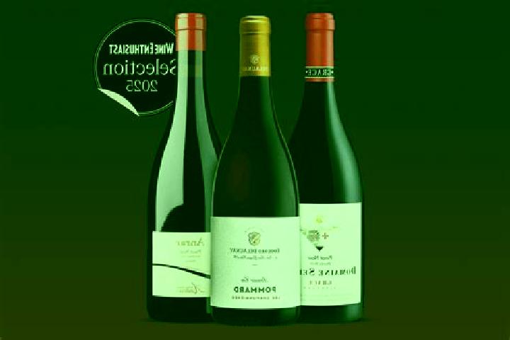 escort Wines