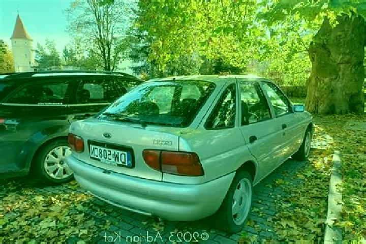 escort Wiselka