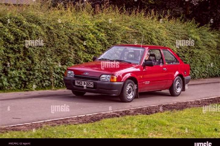 escort Witsum