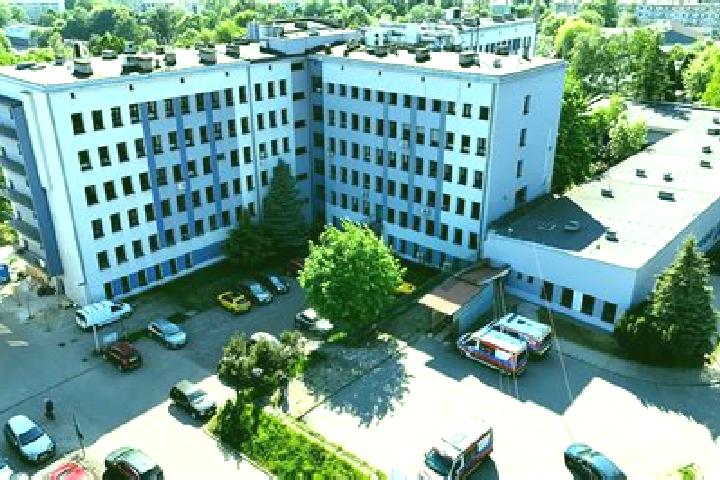 escort Wodzislaw Slaski