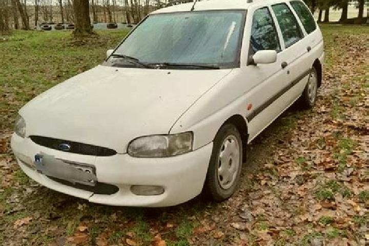escort Wolbrom