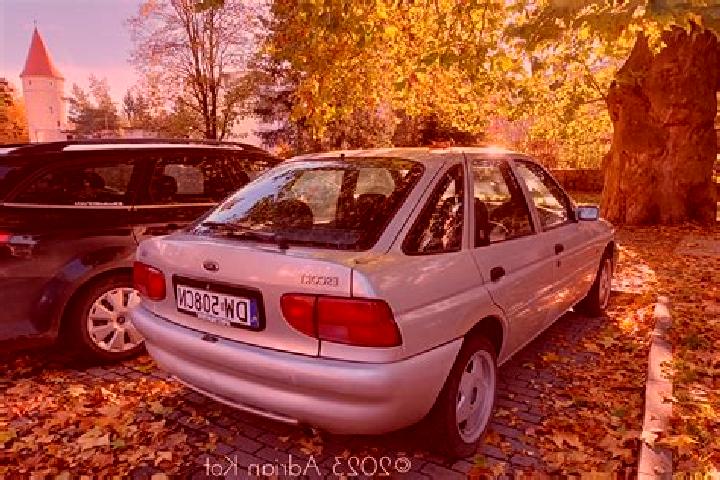 escort Woldendorp