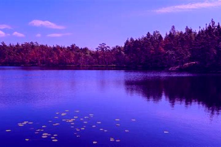 escort Wonder Lake