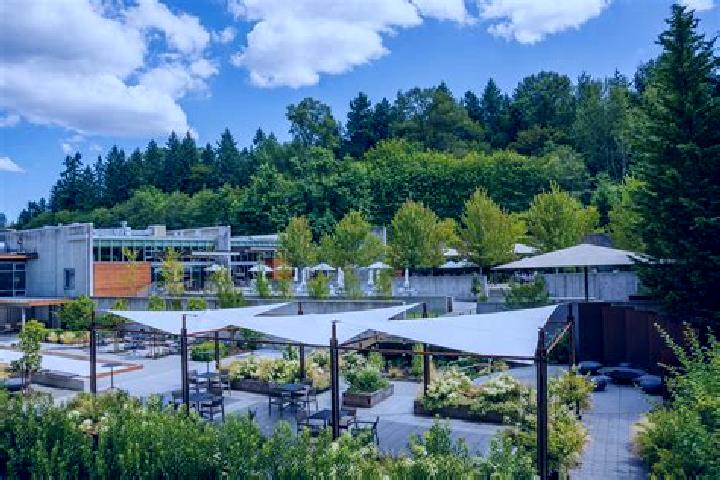 escort Woodinville