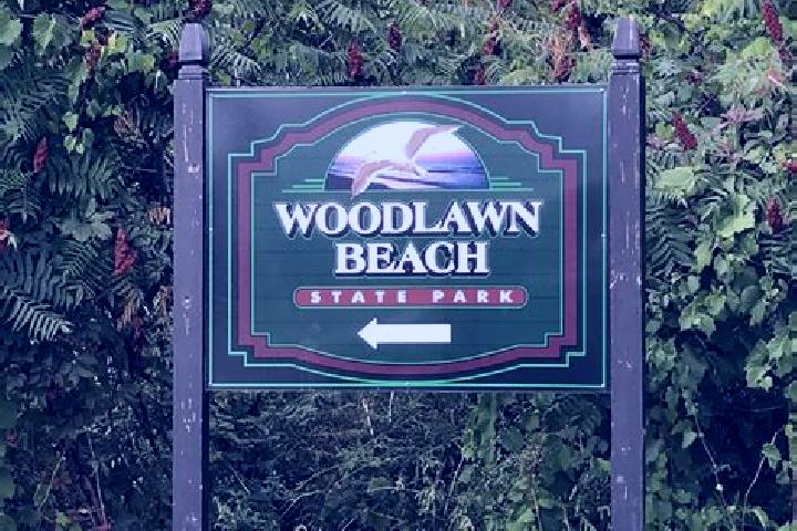escort Woodlawn Beach
