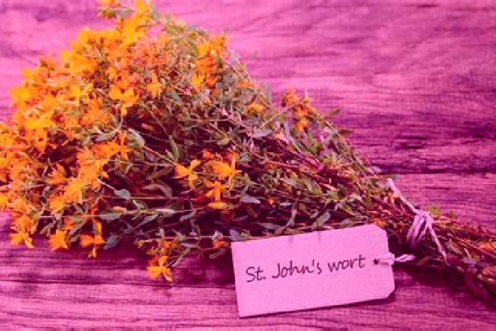 escort Wort
