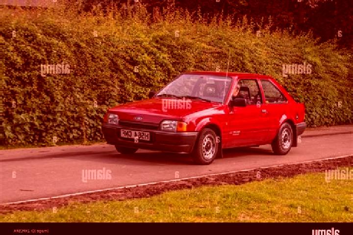 escort Wredenhagen