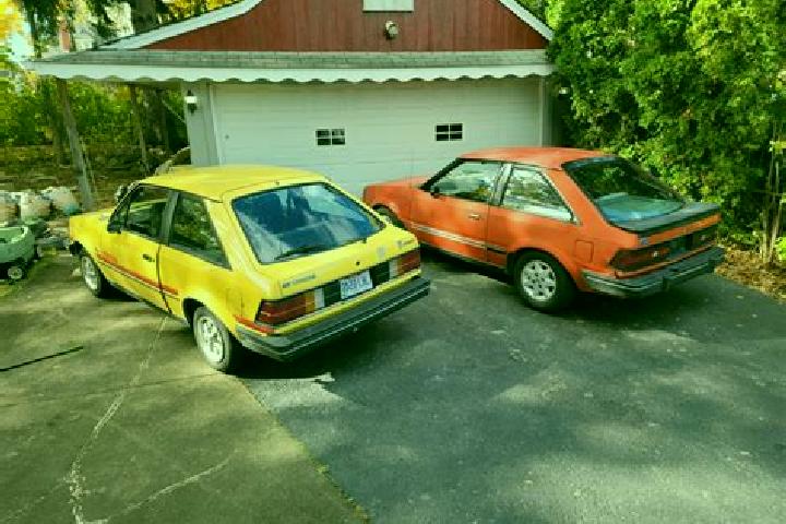 escort Wrightwood