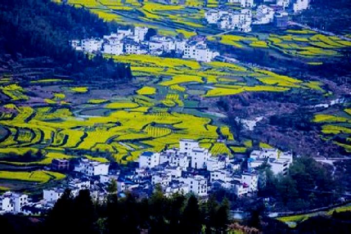 escort Wuyuan