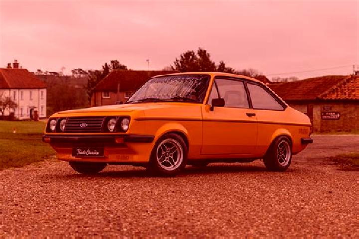 escort Wynyard