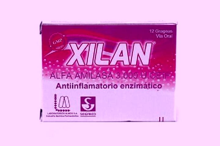 escort Xilan