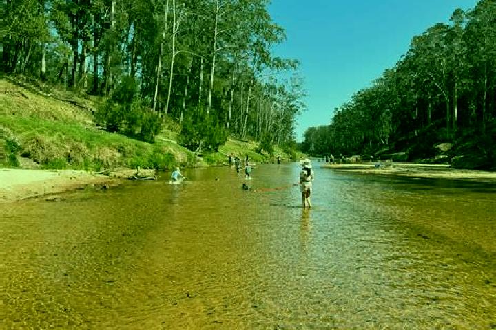 escort Yarramundi
