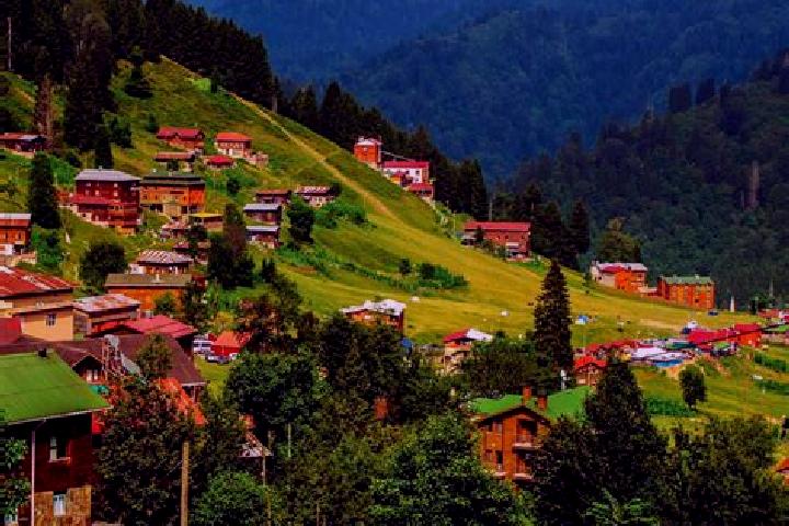 escort Yayla