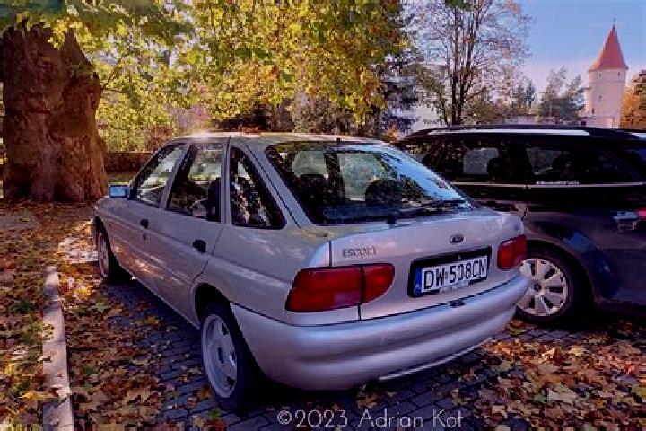 escort Yelkovan