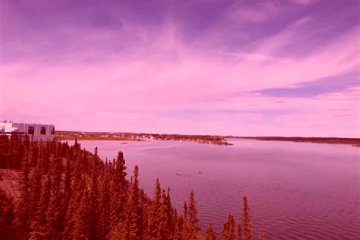 escort Yellowknife