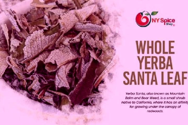 escort Yerba Santa