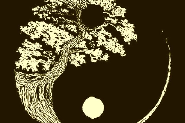 escort Yinyang