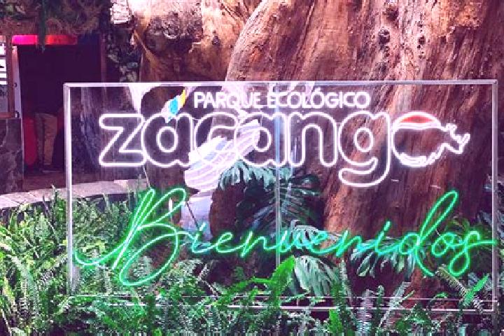 escort Zacango