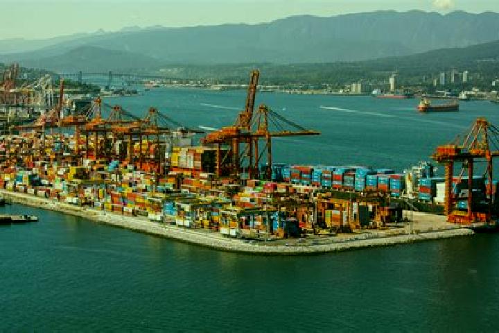 escort Zaliznyy Port