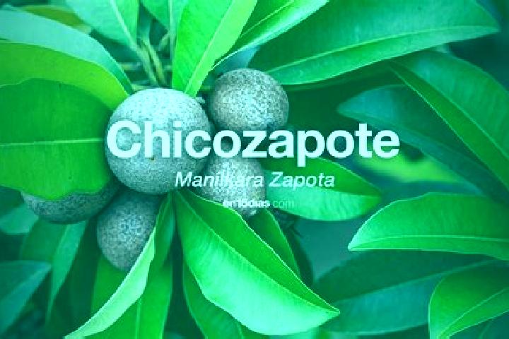 escort Zapotitlan de la Fuente (El Zapote)