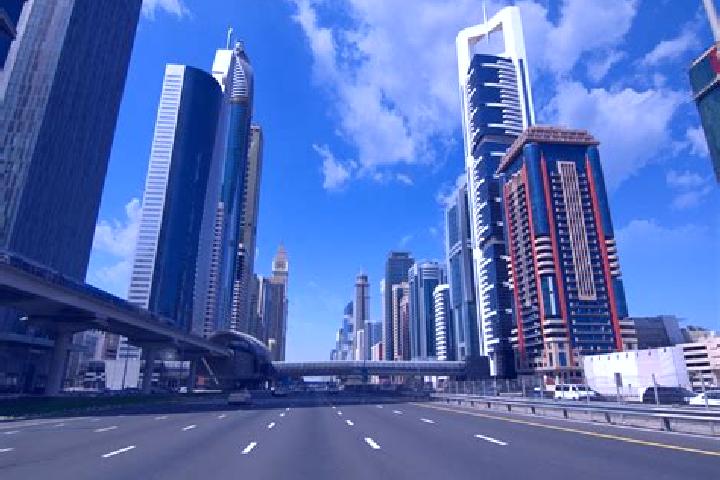 escort Zayed City