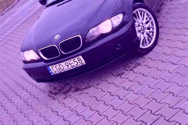 escort Zbojno