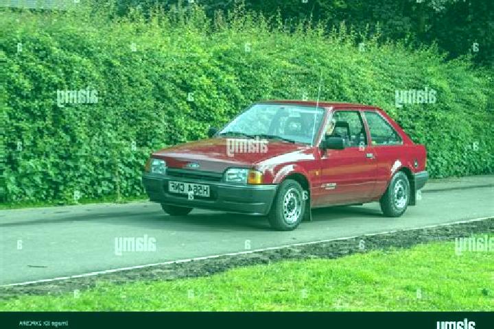 escort Zelenogradskiy