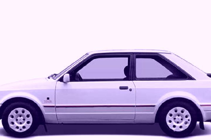 escort Zerbino