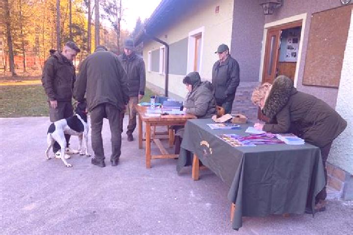 escort Zgornja Hajdina